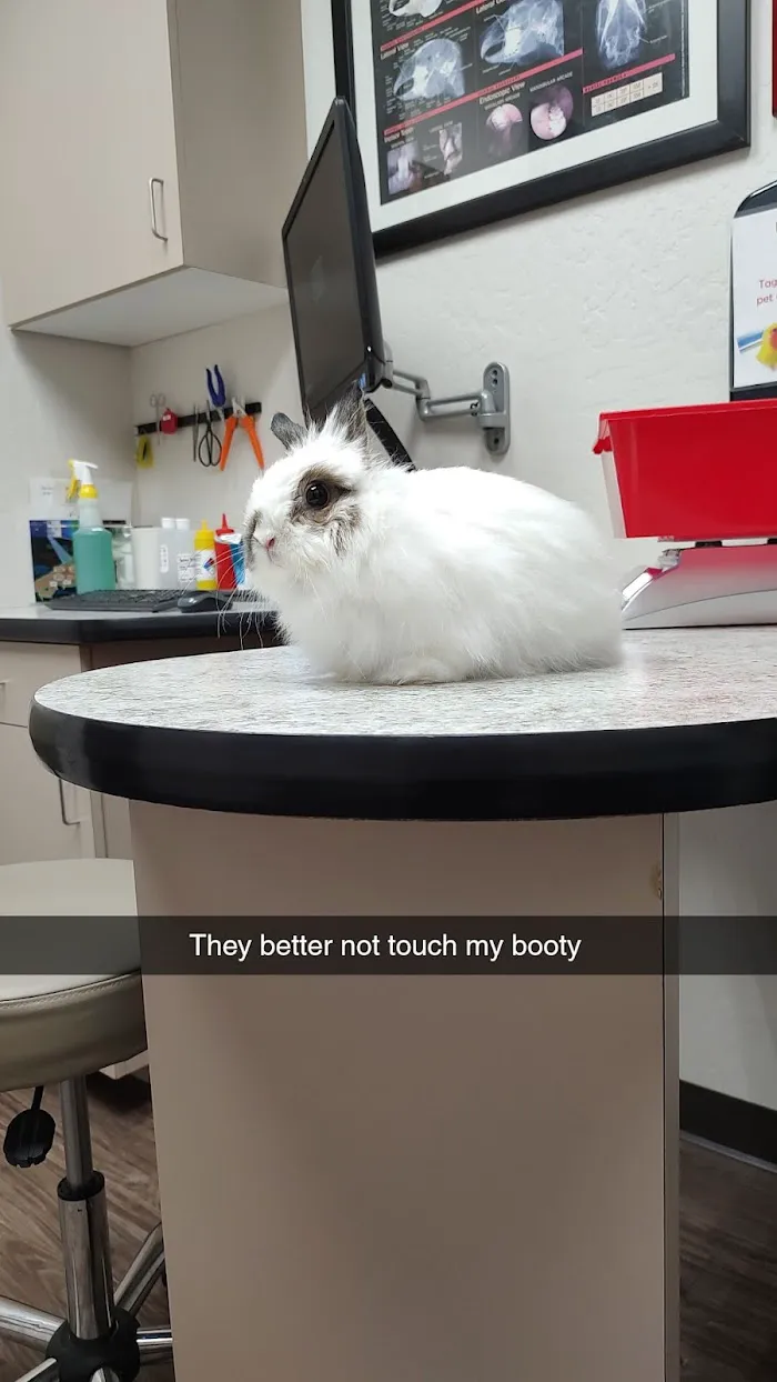 Avian & Exotic Animal Clinic 1