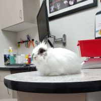 Avian & Exotic Animal Clinic ico