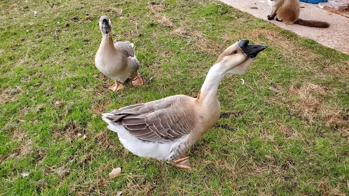 Avian & Exotic Animal Clinic 2