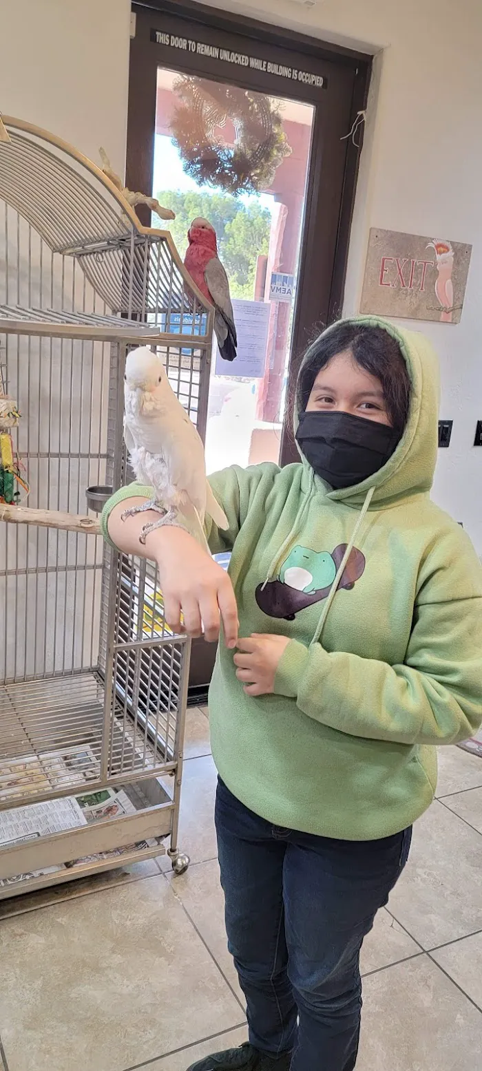Avian & Exotic Animal Clinic 10