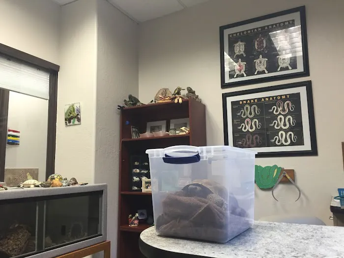 Avian & Exotic Animal Clinic 8