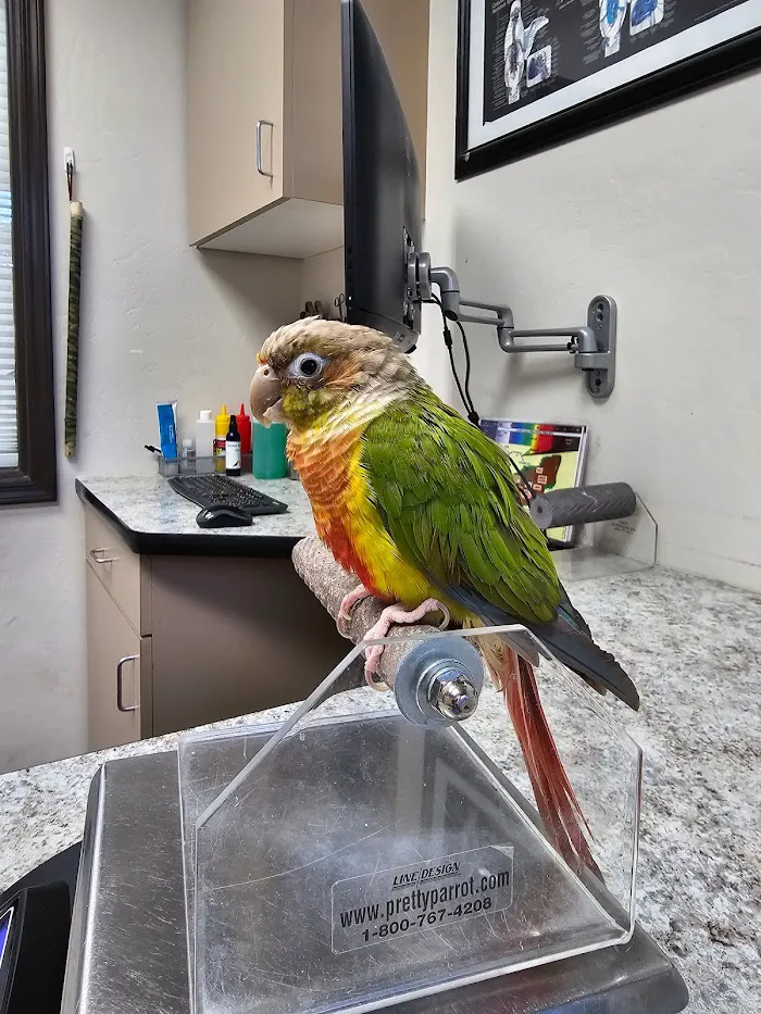 Avian & Exotic Animal Clinic 9