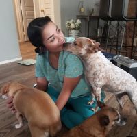 Desert Bloom Mobile Veterinary Service ico