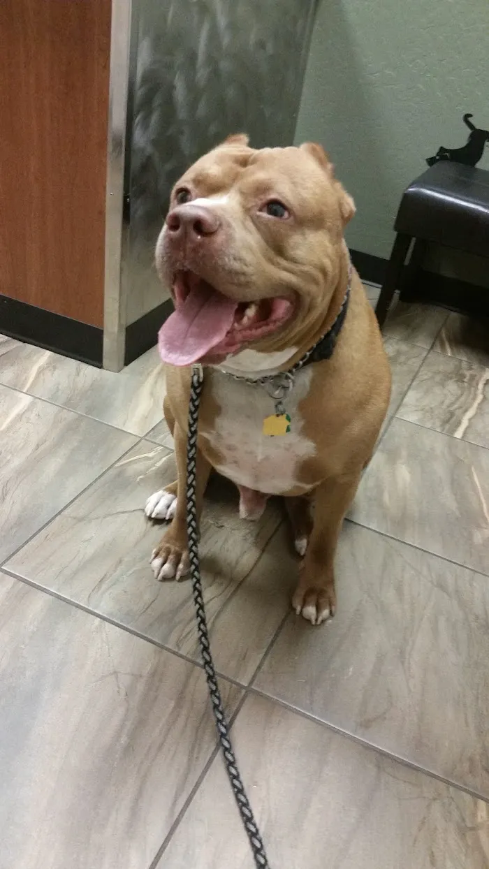 Cross Winds Animal Clinic 7