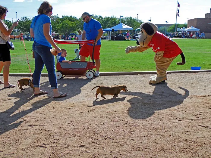 Cross Winds Animal Clinic 2