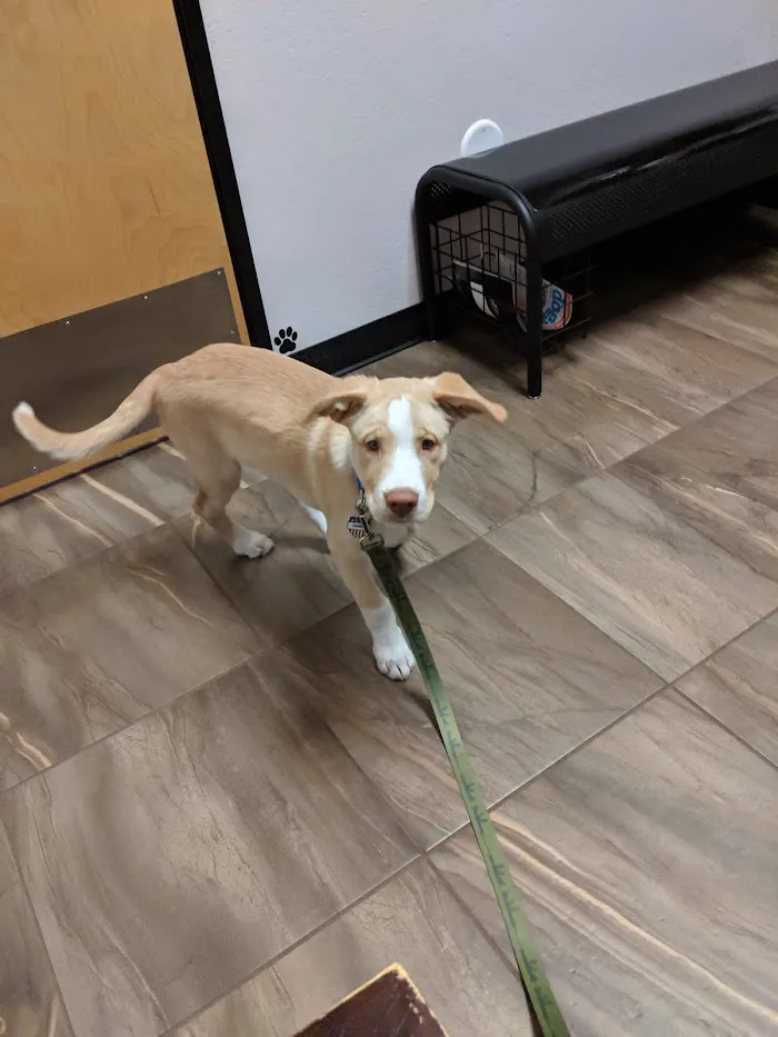 Cross Winds Animal Clinic 6