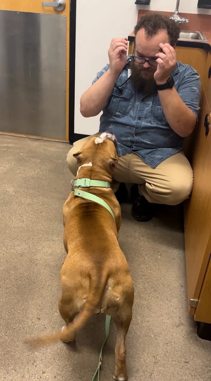 PetSmart Veterinary Services - Gilbert 6