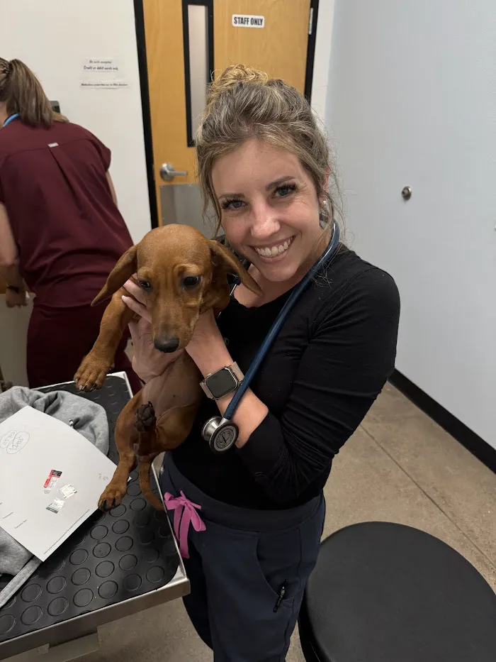 PetSmart Veterinary Services - Gilbert 3