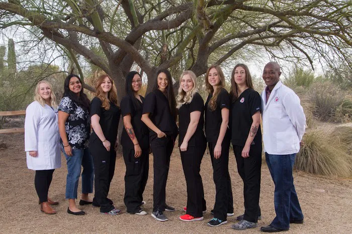 East Valley Animal Hospital 12