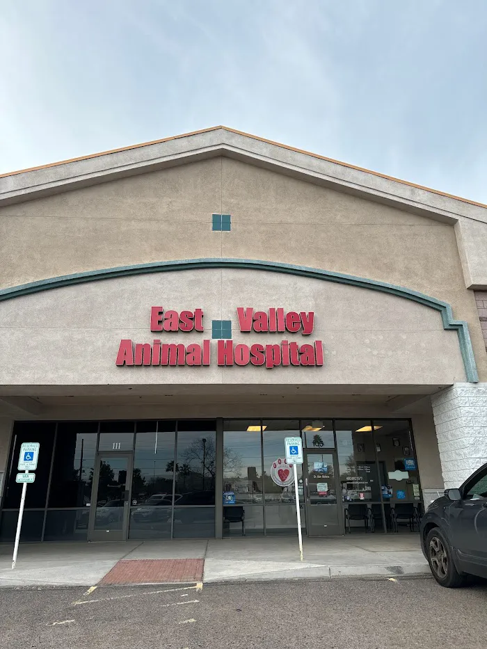 East Valley Animal Hospital 12
