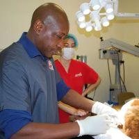 East Valley Animal Hospital ico