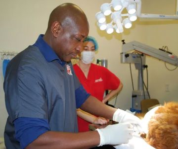 East Valley Animal Hospital
