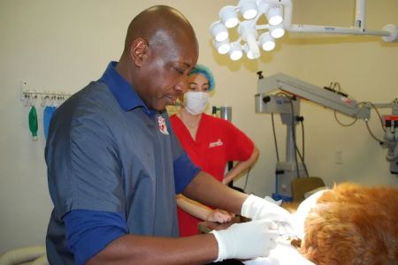 East Valley Animal Hospital