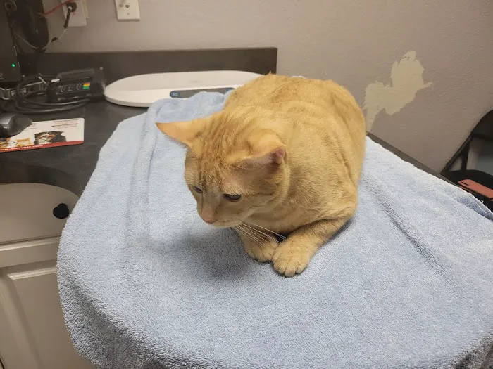 Prestige Animal Clinic 12