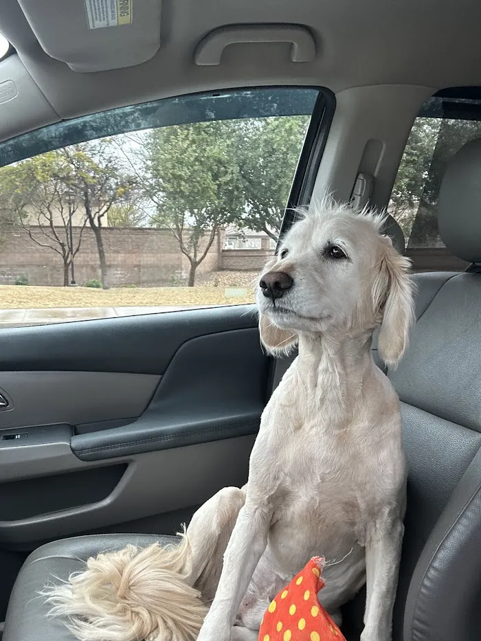 Vetco Total Care Animal Hospital 9