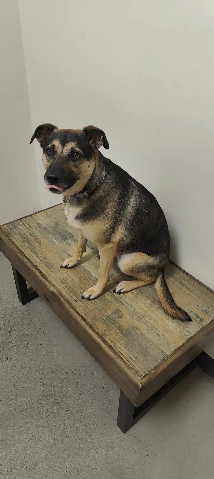 Vetco Total Care Animal Hospital 10