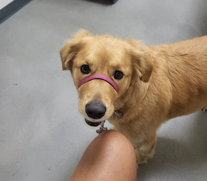 Vetco Total Care Animal Hospital 3