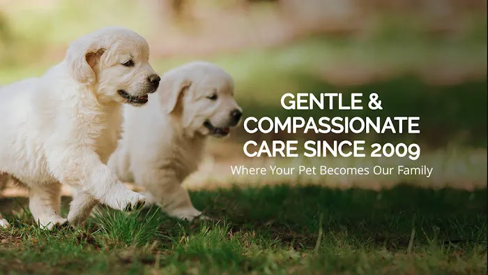 McDowell Mountain Animal Hospital 12