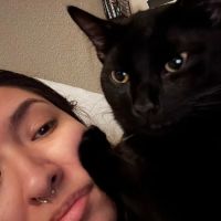 PetSmart Veterinary Services - North Scottsdale (Frank Lloyd Wright) ico