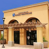Scottsdale Animal Healthcare ico