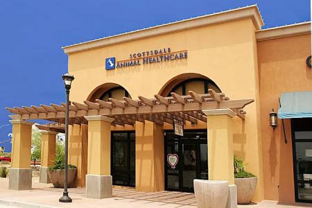 Scottsdale Animal Healthcare