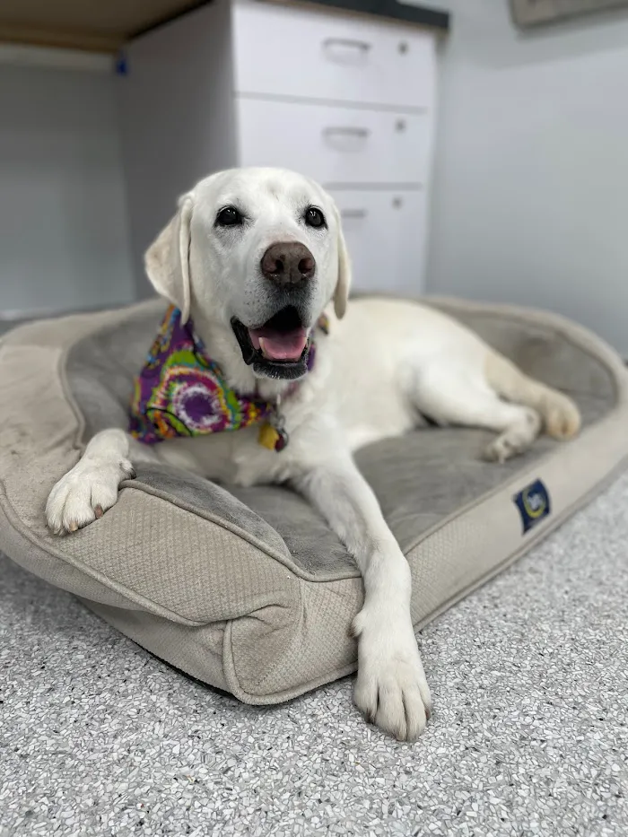 Scottsdale Animal Healthcare 12