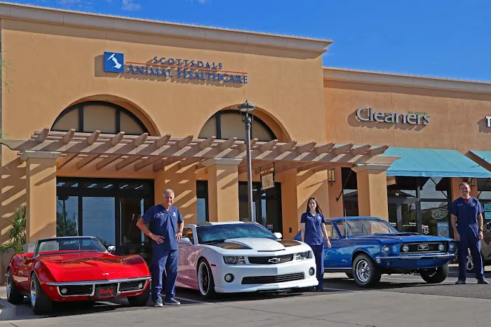 Scottsdale Animal Healthcare 12