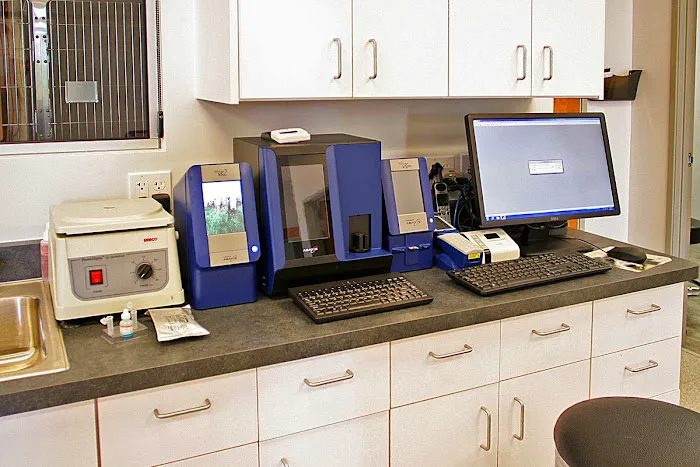 Scottsdale Animal Healthcare 12