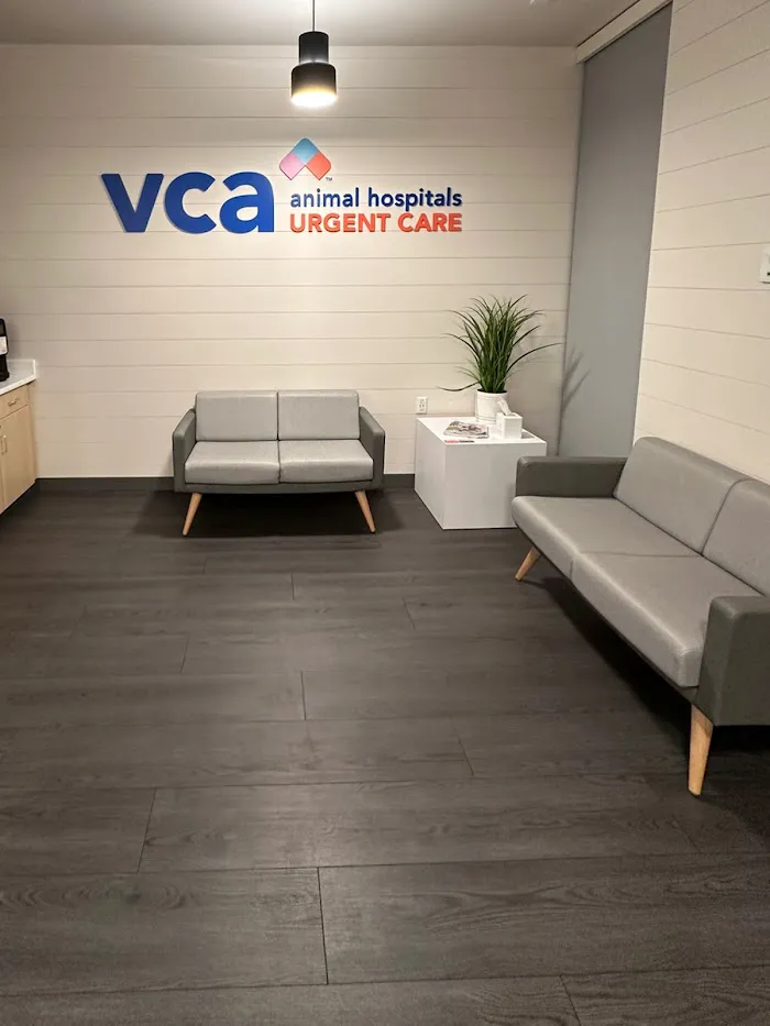 VCA Animal Hospitals Urgent Care - Scottsdale 3