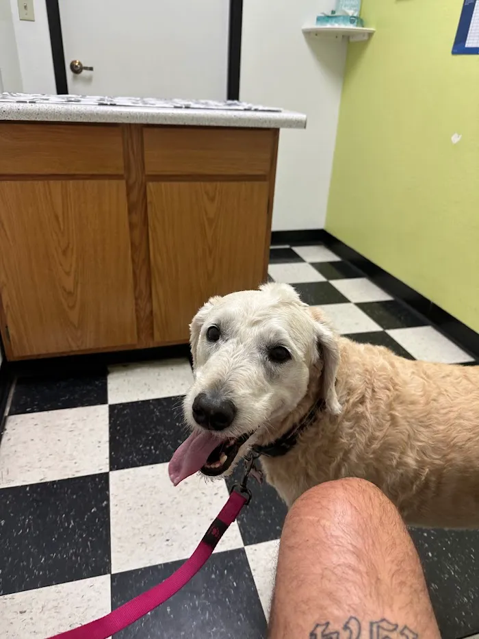 North Ranch Animal Hospital 12