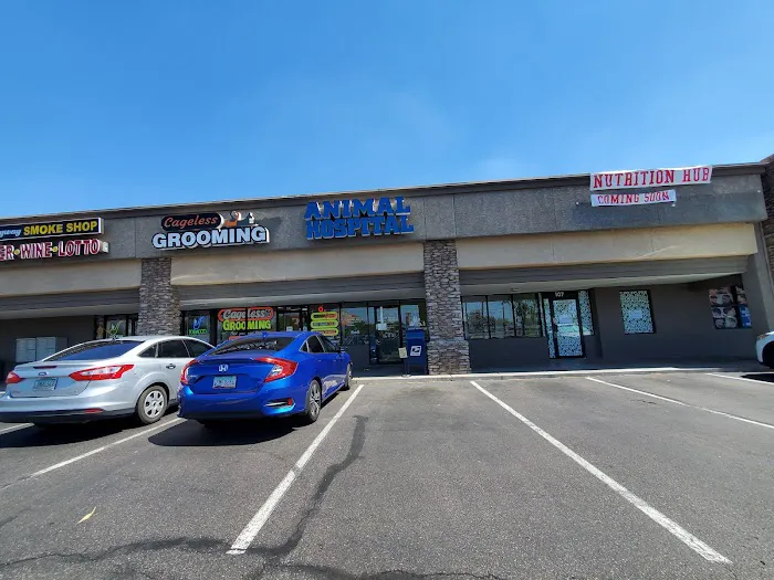 North Ranch Animal Hospital 12