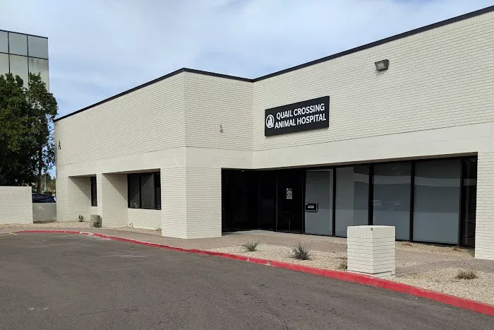 Quail Crossing Animal Hospital 12