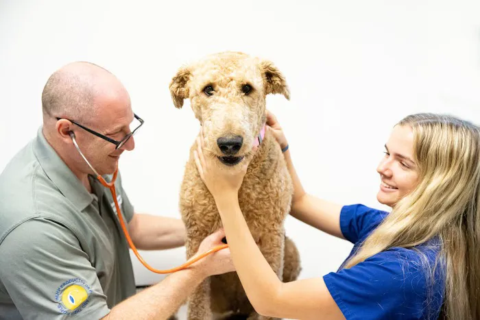 North Scottsdale Animal Hospital 5