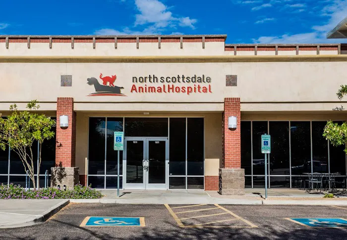 North Scottsdale Animal Hospital 1