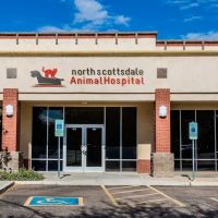 North Scottsdale Animal Hospital ico