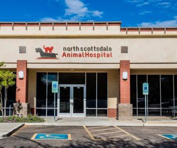 North Scottsdale Animal Hospital