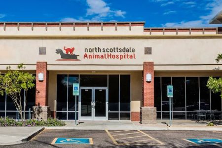North Scottsdale Animal Hospital