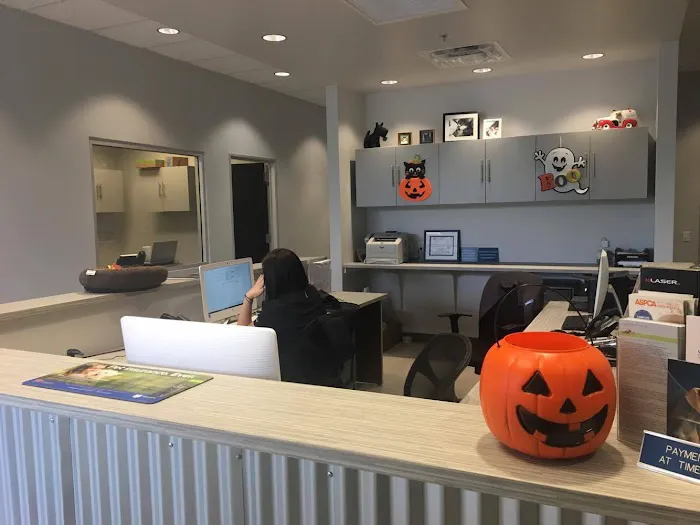 North Scottsdale Animal Hospital 6