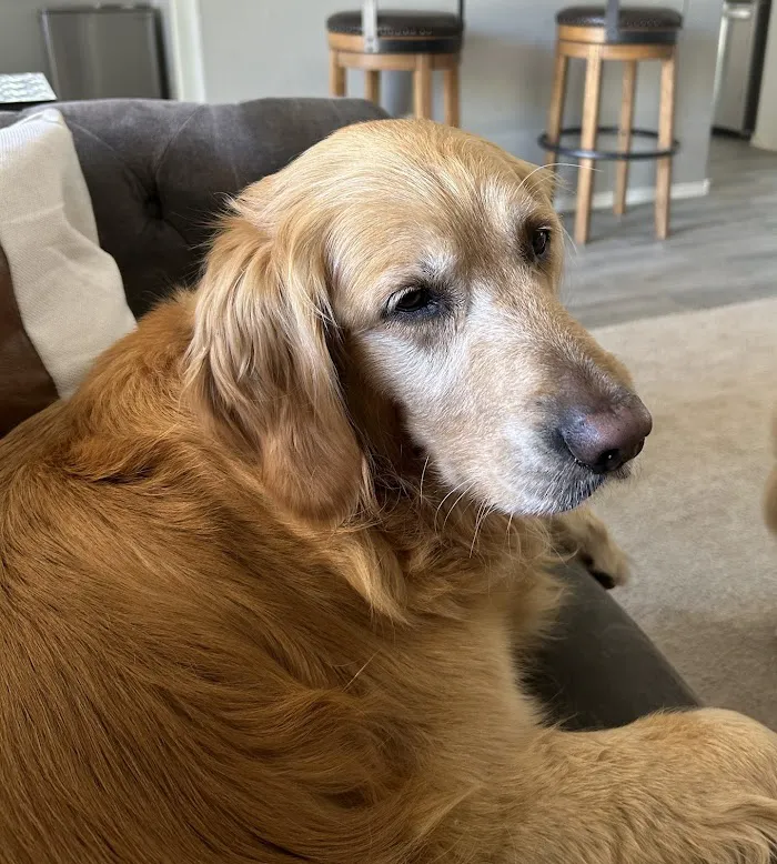 North Scottsdale Animal Hospital 3