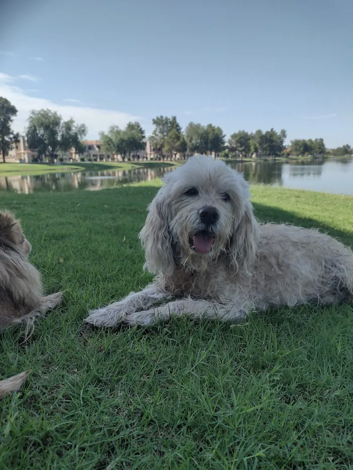 North Scottsdale Animal Hospital 10
