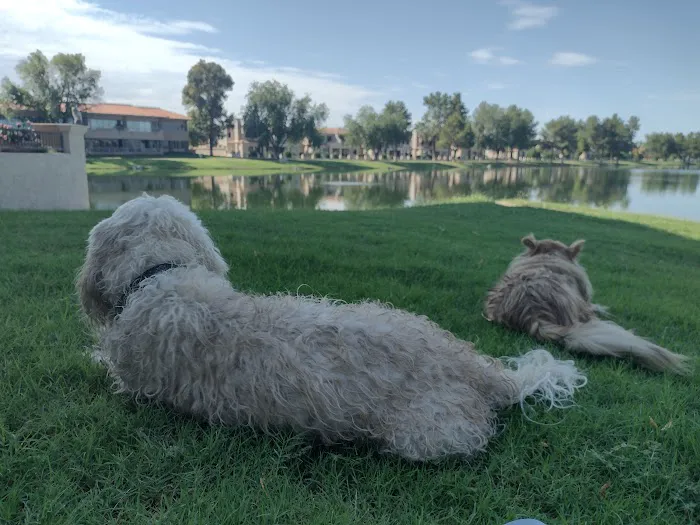 North Scottsdale Animal Hospital 9