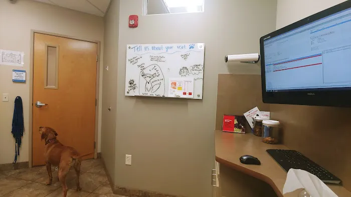 Scottsdale Hills Animal Hospital & Grooming 4