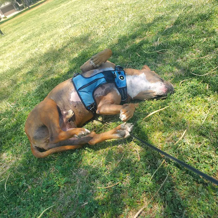 Horizon Animal Hospital 3