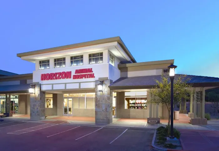 Horizon Animal Hospital 1