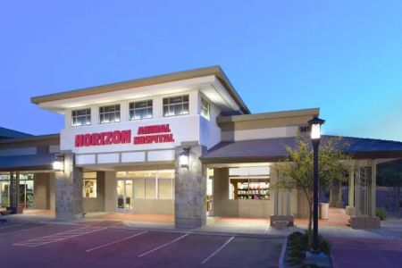 Horizon Animal Hospital