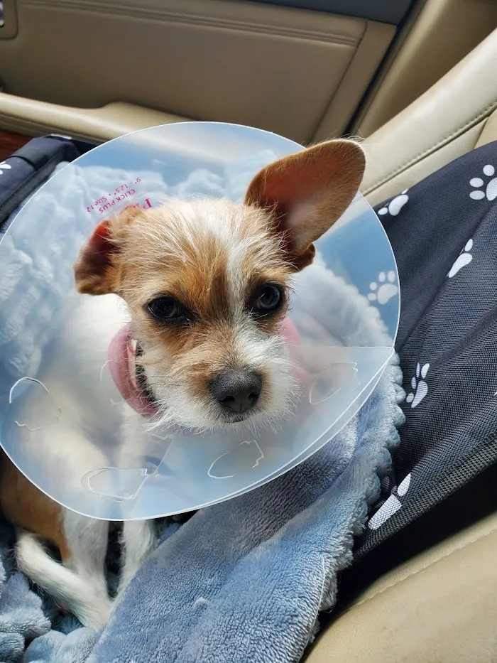 Horizon Animal Hospital 2