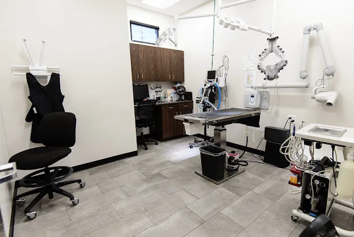 Val Vista Animal Hospital 3