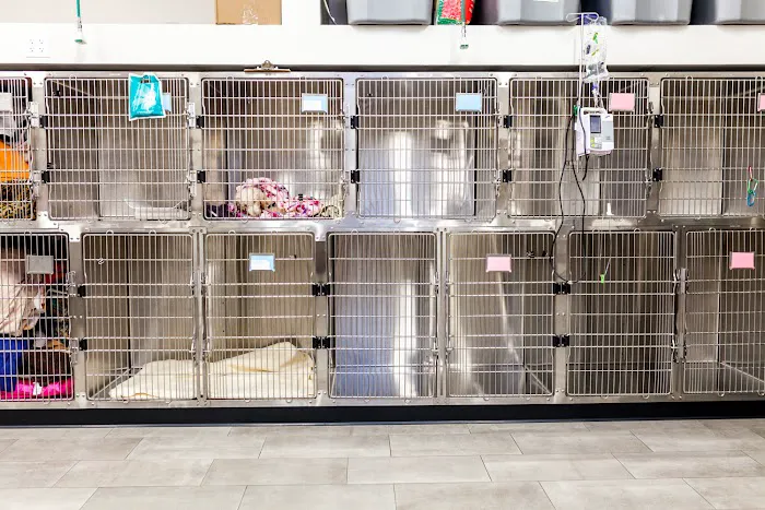 Val Vista Animal Hospital 4