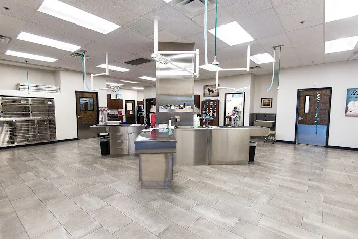 Val Vista Animal Hospital 1