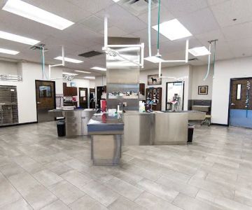 Val Vista Animal Hospital